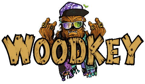 Michigan music festival Woodkey